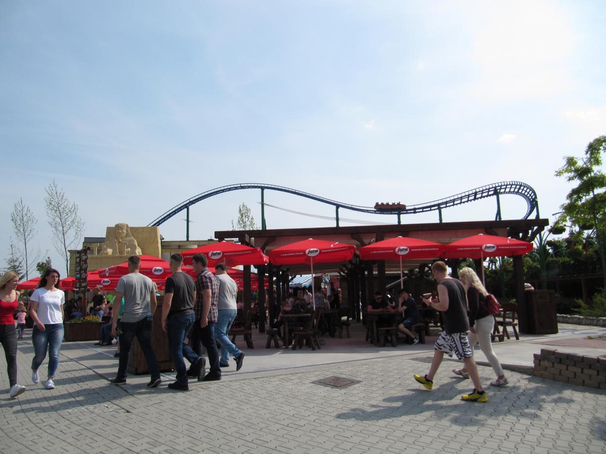 IMG 7897