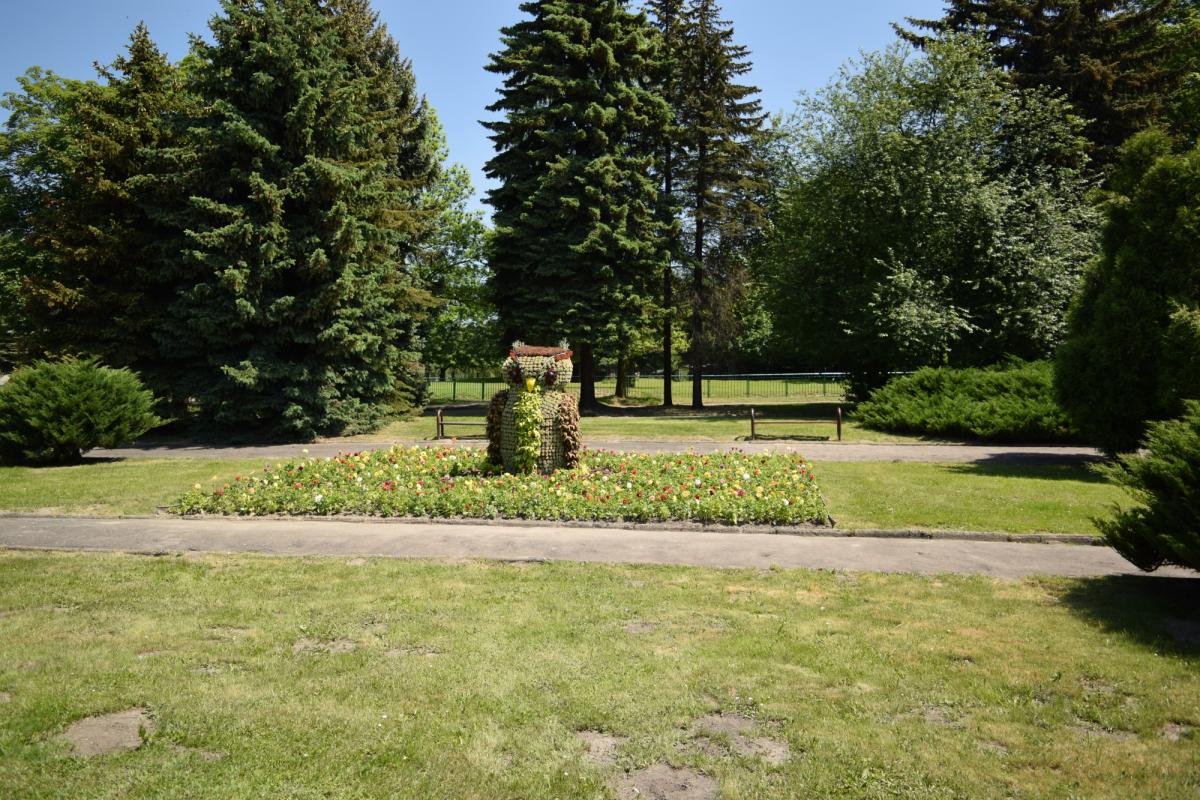 DSC 3267