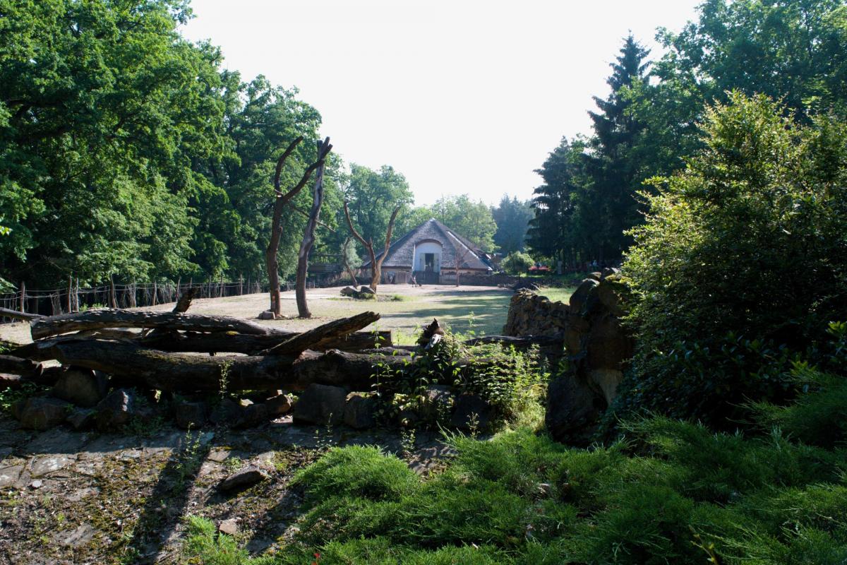 DSC 1908